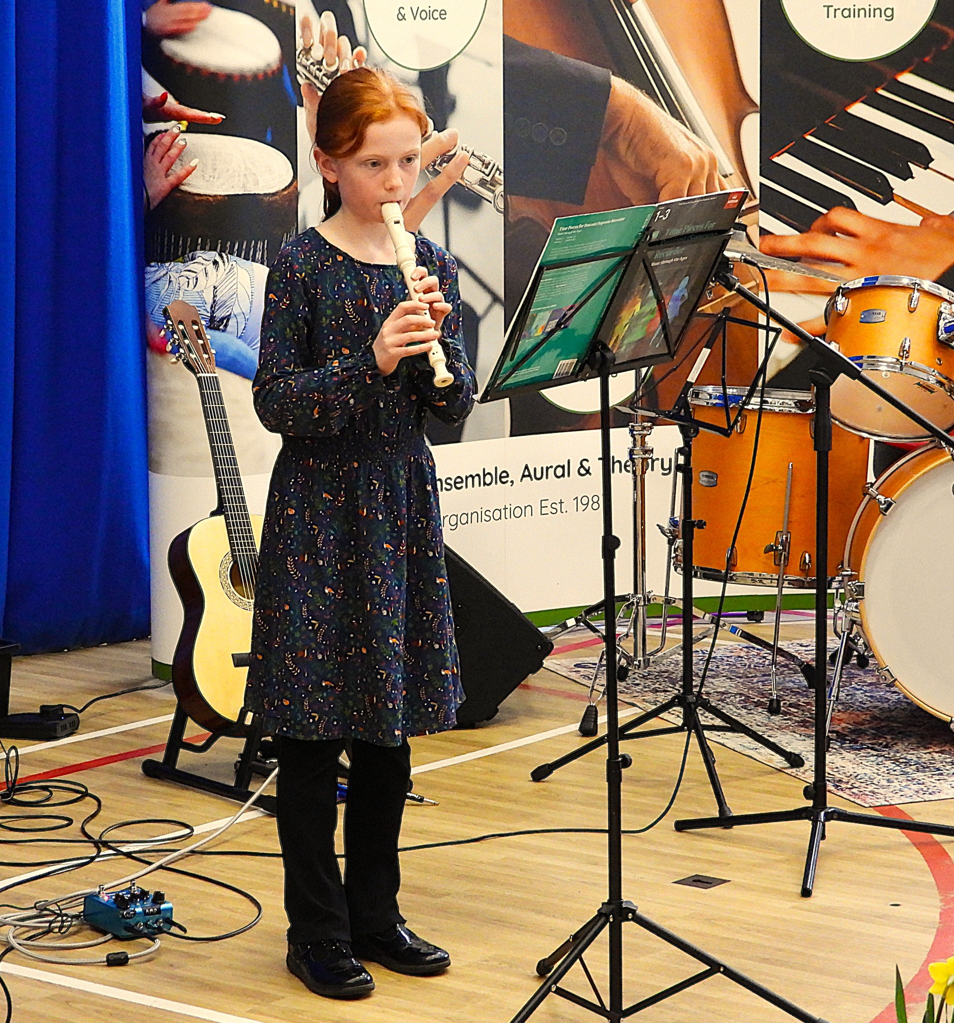 Roundhay Music concert photo 5