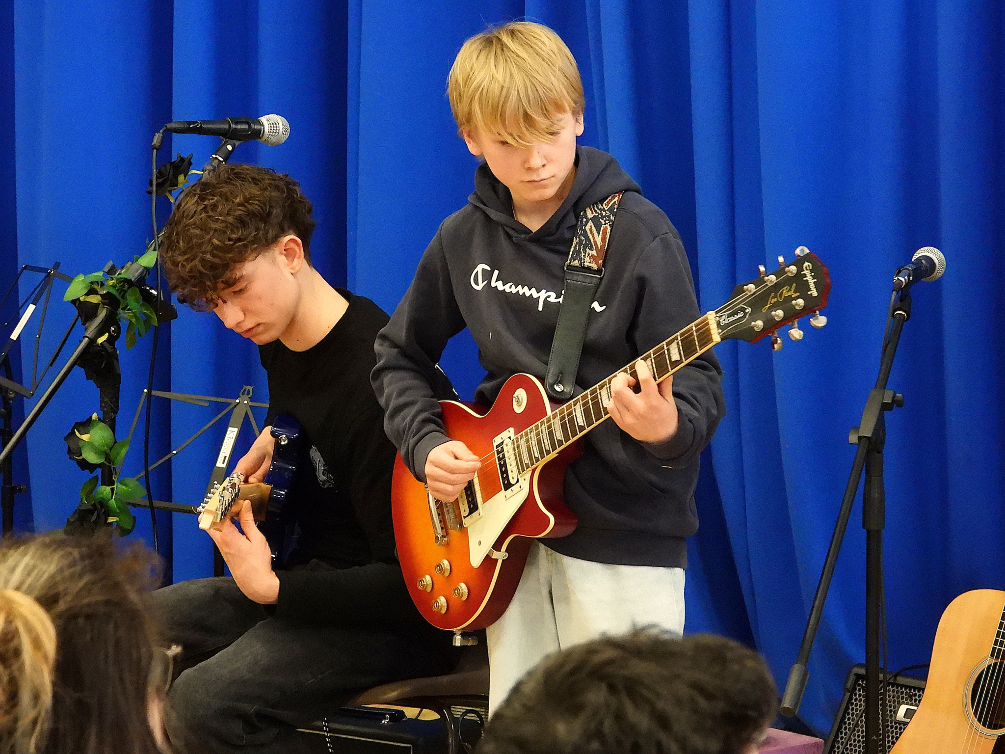 Roundhay Music concert photo 44