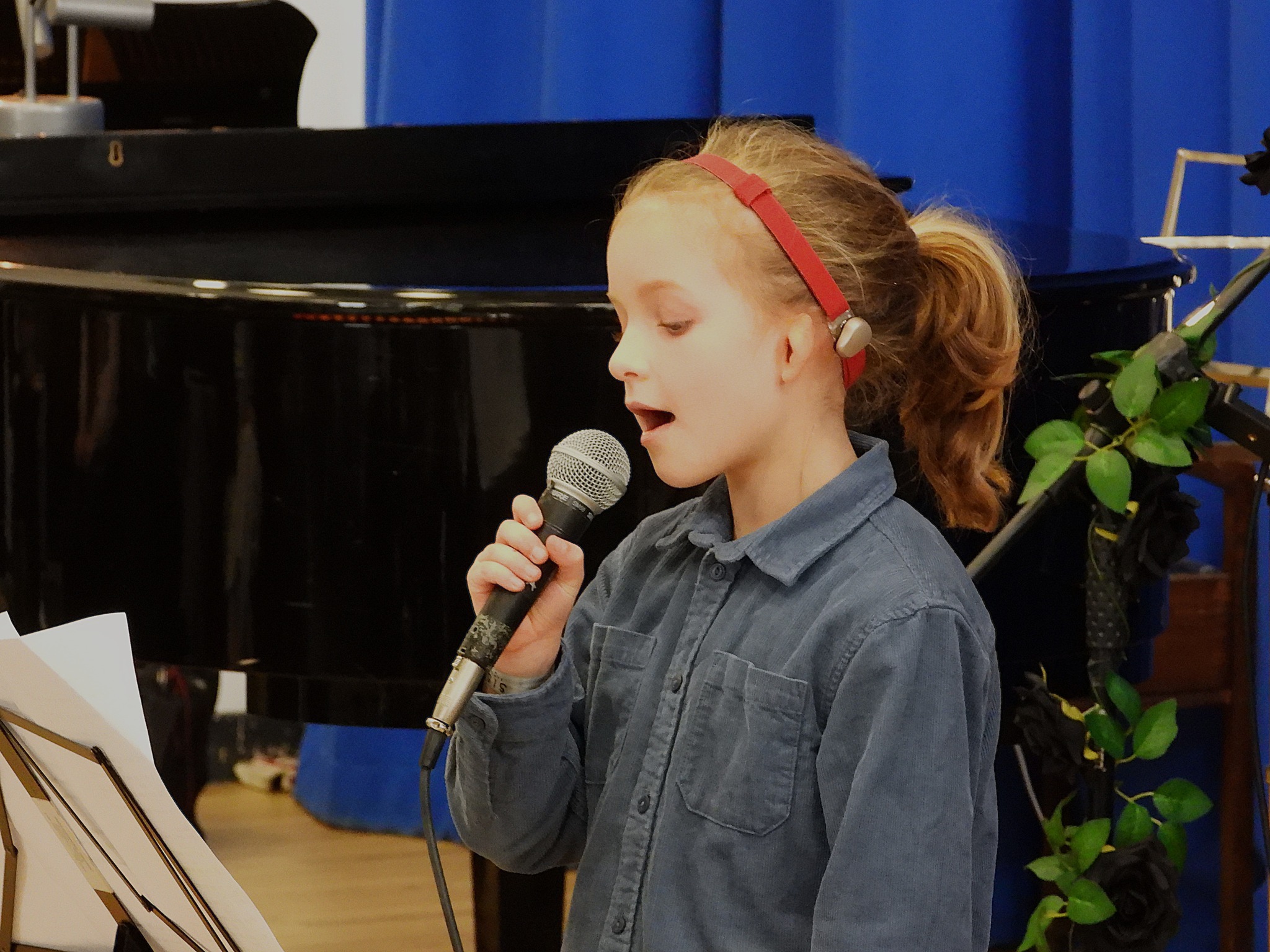 Roundhay Music concert photo 51