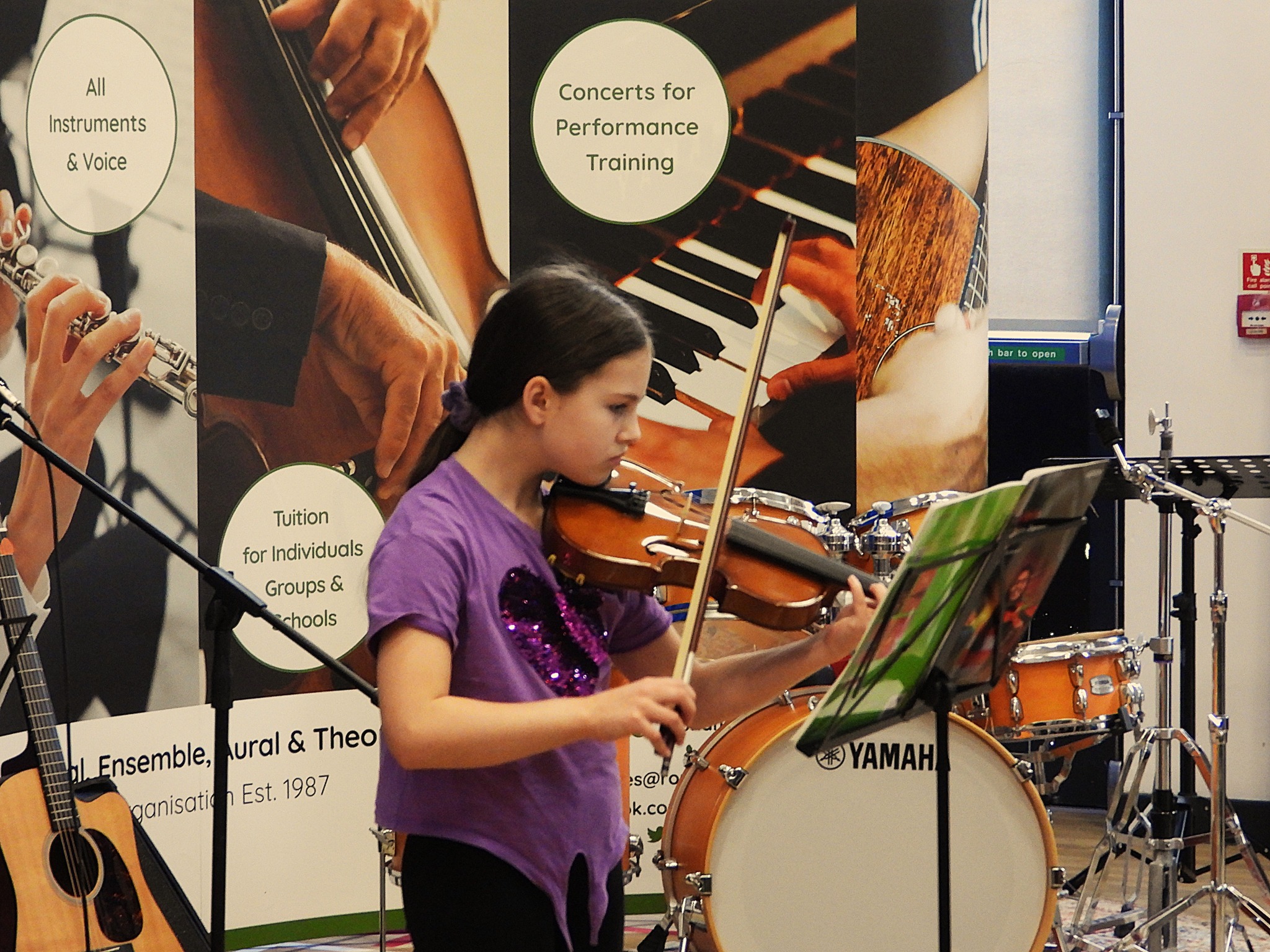 Roundhay Music concert photo 54