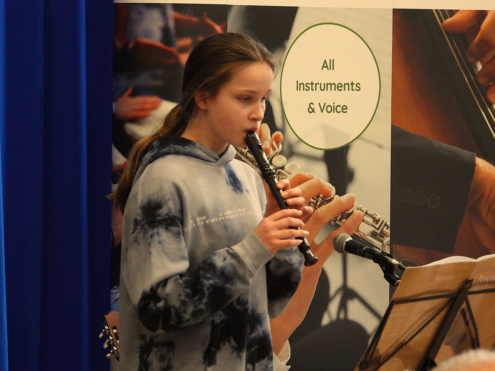 Roundhay Music concert photo 70