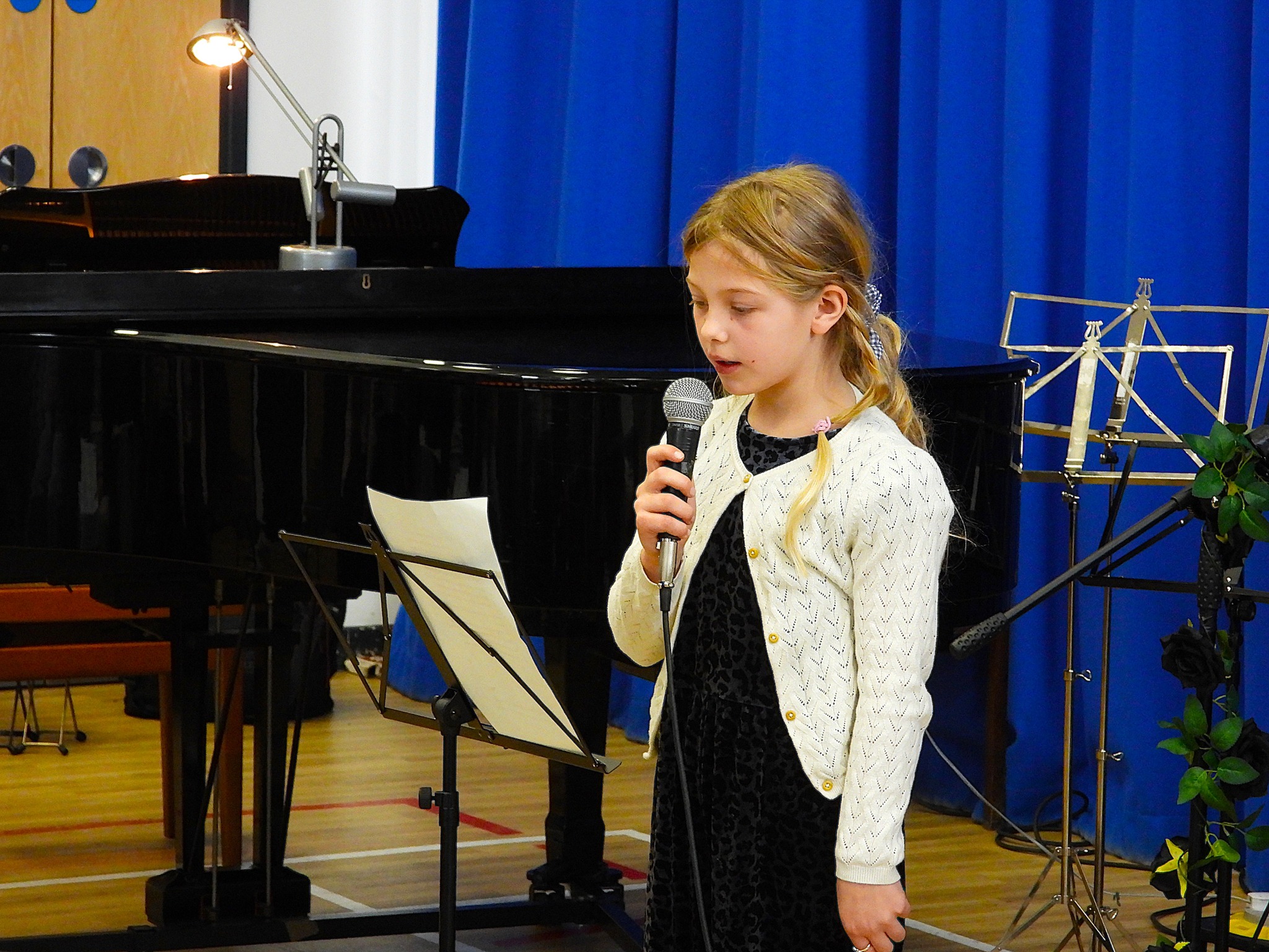 Roundhay Music concert photo 72